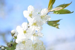 ulrike-neff-blog-tipps